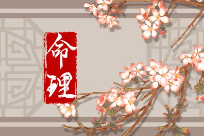 日历万年历查询|日历年黄道吉日|2026年在线日历查询